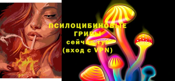 стаф Абдулино