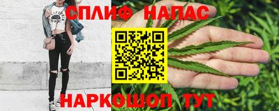 гашик Кимры