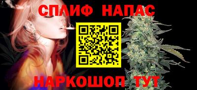 гашик Кимры