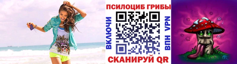 Галлюциногенные грибы Cubensis  Красноярск 