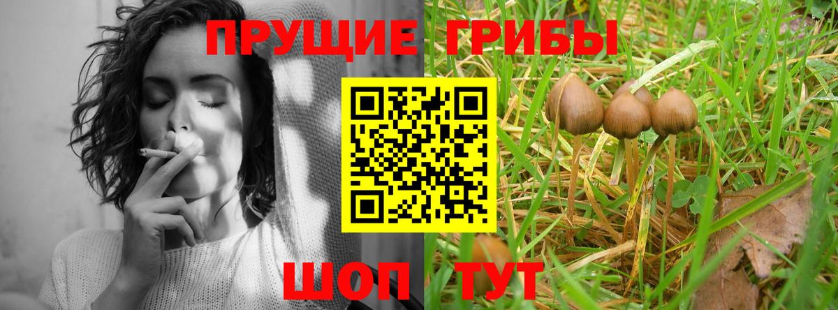 Галлюциногенные грибы MAGIC MUSHROOMS Красноярск