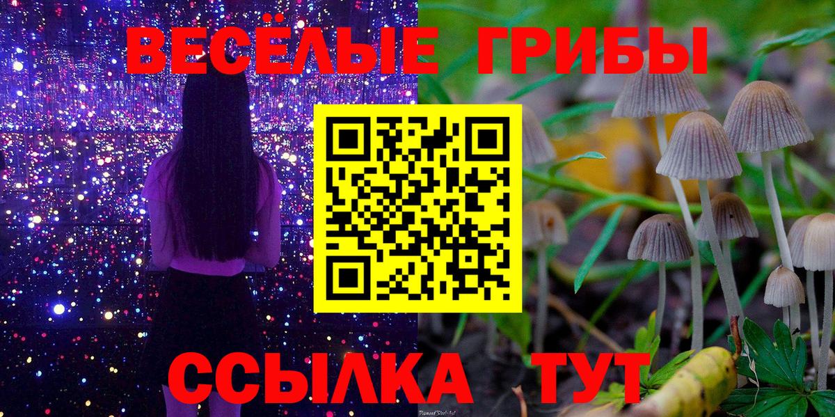 Галлюциногенные грибы прущие грибы  как найти закладки  Красноярск  Вход с VPN  Псилоцибиновые грибы ЛСД 